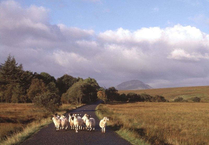 Mount Errigal Hotel, Conference & Leisure Centre Letterkenny Eksteriør billede